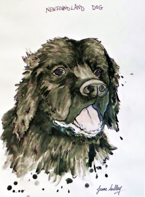 Black Dog Watercolour